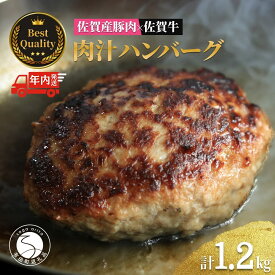 【ふるさと納税】【12/21迄の決済完了で年内発送】佐賀の肉汁ハンバーグ 150g×8個(1.2kg) 佐賀産豚肉×佐賀牛 佐賀牛 肉汁 国産 手ごね 冷凍 絶品 簡単 アレンジ さがぎゅう N17-1