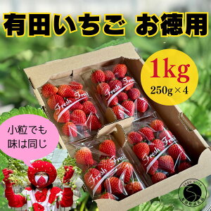 yӂ邳Ɣ[Łz \ty2026N2`zLc 1kg p Ə 2L`MTCY 250g×4pbNy݂䂫t@[z  ꌧY E n VN Â t
