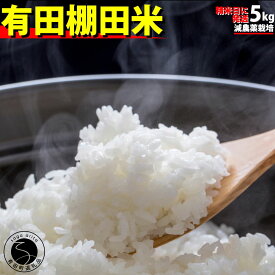 【ふるさと納税】＜予約受付＞【10月下旬より順次発送】【数量限定】令和7年産 有田 棚田米 5kg 米【みゆきファーム】精米済 白米 5kg 減農薬 organic 棚田米 有田町 令和7年度産 新米 K17-1