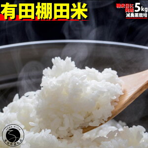 yӂ邳Ɣ[Łz \ty10{菇zyʌzߘa7NY Lc Ic 5kg āy݂䂫t@[zč  5kg _ organic Ic Lc ߘa7NxY V K14-12