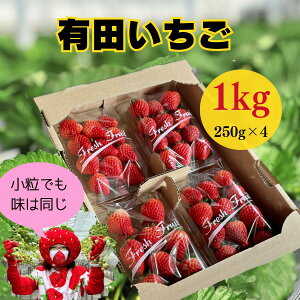 �y�ӂ邳�Ɣ[�Łz�y2026�N2���`���������z�L�c������ 1kg ������Ə����i2L�`M�T�C�Y�j250g×4�p�b�N ���E�݊��n�������𑦓������I�y�݂䂫�t�@�[���z���������� ������ �C�`�S � F12-46