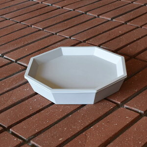 yӂ邳Ɣ[Łz1616/ TY Anise Plate & Bowl 220 Zbgy1616/arita japanzLc H  M M pM   AjX v[g {E O[ Vv A40-377