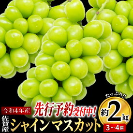 楽天市場 ふるさと納税 シャインマスカットの通販 楽天市場 ふるさと納税 シャインマスカットの通販