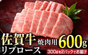 yӂ邳Ɣ[Łzꋍ u[Xēp 600g (300g×2pbN)^ ӂ邳Ɣ[   ē Ă [X XCX Xe[L ؂藎Ƃ u[X ① Mtg 蕨 i