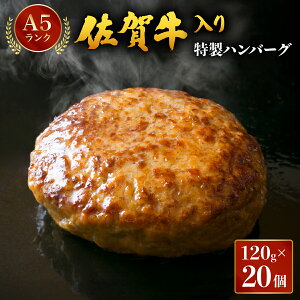 yӂ邳Ɣ[Łzꋍno[O 120g×10E20 ^ӂ邳Ɣ[   no[O  ꋍ Y Y Mtg i 蕨