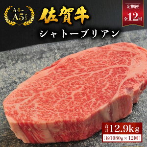 yӂ邳Ɣ[ŁzIׂeʁEցꋍ Vg[uA 400g (200g×2)`^ӂ邳Ɣ[     tB q Xe[L  v[g Y ~ Mtg O 