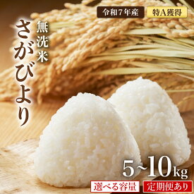 【ふるさと納税】【選べる容量・配送回数】令和7年産 特A評価 『 無洗米 さがびより 5kg・6kg・10kg 』／米 お米 返礼品 飯 ごはん 弁当 銘柄米 白米 県産米 佐賀県産 国産米 無洗米 ブランド米 おにぎり 国産 食品 人気 おすすめ ふるさと納税米 主食 ご飯