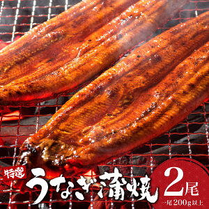 yӂ邳Ɣ[ŁzȂĂ 400g (200g×2) I^Ȃ V EiM  Ă yp N̓ I   Y ӂ邳 V Vd ȏd Ȃ Mtg 蕨  ꌧ 