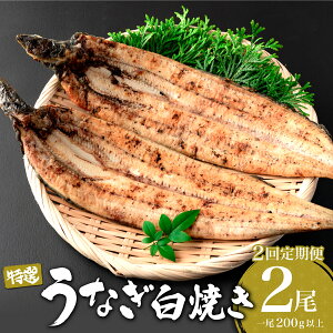 yӂ邳Ɣ[ŁzցES2 ȂĂ v800g (200g×2×2) I ^Ȃ V EiM  Ă yp N̓ I   Y ӂ邳 V Vd ȏd Ȃ M