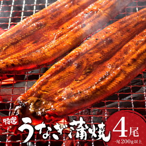 yӂ邳Ɣ[ŁzȂĂ 800g (200g×4) I ^Ȃ V EiM  Ă yp N̓ I   Y ӂ邳 V Vd ȏd Ȃ Mtg 蕨  ꌧ 