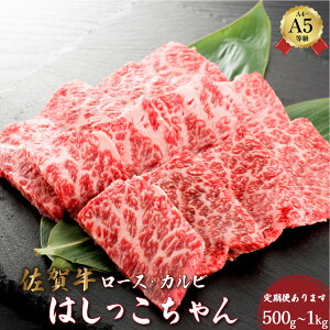 yӂ邳Ɣ[Łzꋍ͂ ([XEJr) 500g`1kg IׂeʁEց^ӂ邳Ɣ[ ꋍ   јa Y o[xL[ ē ꌧ 咬 Y ꌧ
