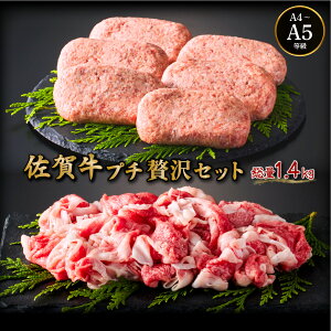 yӂ邳Ɣ[Łzꋍv`ґZbg no[O150g×6E؂藎Ƃ500g^ӂ邳Ɣ[ ꋍ   јa Y o[xL[ ē ₫ɂ ɂ  ꌧ Y ꌧY u