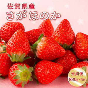 yӂ邳Ɣ[Łzys\z2026N1`4\聟 4 ق̂yIׂe 2pbNE4pbNz^   C`S   咬 ӂ邳Ɣ[