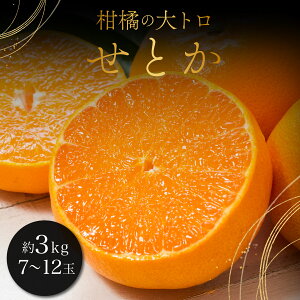 yӂ邳Ɣ[Łzs\/Iׂeʁ ݂́ugvY񂫂EƂ 1.5kg(4-8) or 3kg(7-12) / ӂ邳Ɣ[  t[cZ Â _ 咬  Mtg 蕨