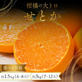 【ふるさと納税】＜先行予約/選べる容量＞ みかんの「大トロ」佐賀産かんきつ・せとか 約1.5kg(4-8玉) or 約3kg(7-12玉) / ふるさと納税 佐賀 フルーツ濃厚 甘い 酸味 大町 贈答 ギフト 贈り物