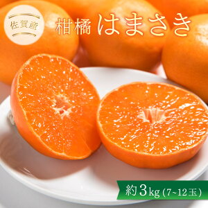 yӂ邳Ɣ[Łzs\/IׂeʁYku͂܂v 1.5kg(4-8) or 3kg(7-12) / ӂ邳Ɣ[  t[cZ Â _ 咬  Mtg 蕨