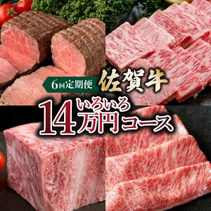 yӂ邳Ɣ[Łzuꋍv낢14R[X6ց ^ ӂ邳Ɣ[ Y ꋍ  T[C Xe[L [X Jr ē [Xgr[t no[O