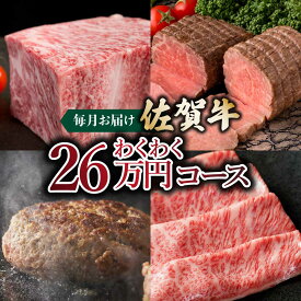【ふるさと納税】「佐賀牛」わくわく26万コース＜12回定期便＞ ／ ふるさと納税 国産 佐賀牛 牛肉 サーロイン ステーキ ロース カルビ 焼肉 ローストビーフ ハンバーグ しゃぶしゃぶ すき焼き