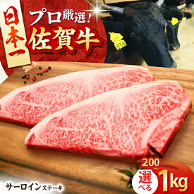 【ふるさと納税】【お中元対象】【選べる容量・回数】佐賀牛 サーロイン ステーキ （ 200g / 400g / 600g / 1kg ） 【田中畜産牛肉店】 [HBH007]
