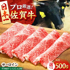【ふるさと納税】【選べる容量・回数】佐賀牛 サーロイン スライス （ 300g / 500g ）【田中畜産牛肉店】 [HBH011]