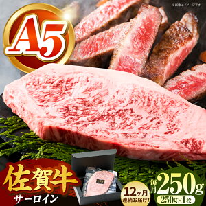 �y�ӂ邳�Ɣ[�Łz�y�S���L���̃u�����h���z���S12�����ց����ꋍ�T�[���C���X�e�[�L 250g�y���΂��t�[�Y�z[HCS055] / A5�����N ���јa�� ���� ���ꌧ �]�k�� ���Y�� ���Y �X�e�[�L �ē� BBQ �T