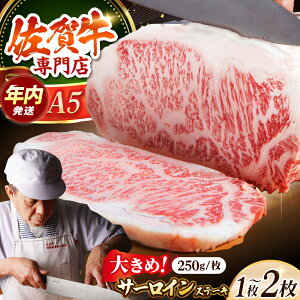 yӂ邳Ɣ[ŁzyΕΏہz ꋍ A5 T[C Xe[L i 250g / 500g jy̎Ohz[HAA001] / T[CXe[L   јa Xe[L ~ [X ؂ ē BBQ 蕨 M