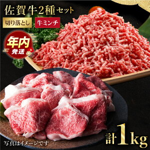 yӂ邳Ɣ[Łzy12/20܂ŔNzꋍ ~`  ؂藎Ƃ 1kg ( 500g 2 ) y̎Ohz [HAA083] / јa   ~` ғ Ђ ҂ ؂藎Ƃ  Ef o 