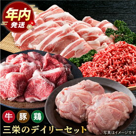 【ふるさと納税】【12/20入金まで年内発送】ミンチ付き！三栄のデイリーセット 【肉の三栄】 [HAA091]