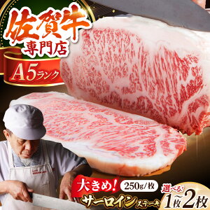yӂ邳Ɣ[Łzꋍ A5 T[C Xe[L i 250g / 500g jy̎Ohz [HAA001] / Hi EHi  T[C  јa   T[C T[CXe[L Xe[L B
