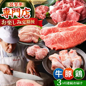 【ふるさと納税】【全3回定期便】牛・豚・鶏 お楽しみ定期 総計3,480g 【肉の三栄】 牛肉 豚肉 鶏肉[HAA143]