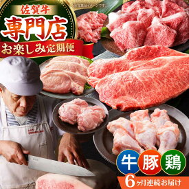 【ふるさと納税】【全6回定期便】牛・豚・鶏 お楽しみ定期 総計6,960g 【肉の三栄】 牛肉 豚肉 鶏肉[HAA144]