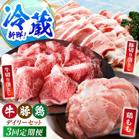 【ふるさと納税】【冷蔵発送】【全3回定期便】三栄のデイリーセット＜ 牛 豚 鶏 ＞【肉の三栄】 佐賀牛 切り落とし 豚 ありたどり 牛肉 豚肉 鶏肉[HAA200]