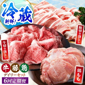 【ふるさと納税】【冷蔵発送】【全6回定期便】三栄のデイリーセット＜ 牛 豚 鶏 ＞【肉の三栄】 佐賀牛 切り落とし 豚 ありたどり 牛肉 豚肉 鶏肉[HAA201]