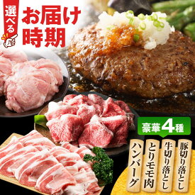 【ふるさと納税】【発送時期を選べる】ハンバーグ付き！三栄のデイリーセット 【肉の三栄】[HAA203] / 佐賀牛 佐賀県産豚 ありたどり 切り落とし 牛肉 肉 豚肉 鶏肉 精肉 ハンバーグ セット 加工品 惣菜 おかず 普段使い 仕送り 贈答 プレゼント 国産 送料無料 佐賀県 江北町