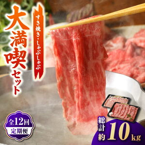 yӂ邳Ɣ[ŁzyS12ցzĂEԂԑ喞iZbg 850g ( ꋍ A5  XCX500g ؃[X XCX 350g ) y̎Ohz [HAA068] /   јa  ؓ ꌧ