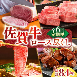 yӂ邳Ɣ[ŁzyS6ցzꋍ A5 [Xs y̎Ohz [HAA070] / јa     Hi Hi Zbg l lߍ킹 Ⓚ  504000 504000~