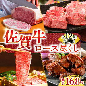 yӂ邳Ɣ[ŁzyS12ցzꋍ A5 [Xs y̎Ohz [HAA071] / јa     Hi  Hi  Zbg lߍ킹 l Ⓚ  1008000