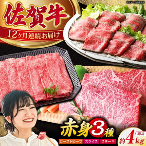 yӂ邳Ɣ[ŁzyS12ցzꋍ A5 Ԑg\Zbg y̎Ohz [HAA078] / јa     Ⓚ  204000 204000~