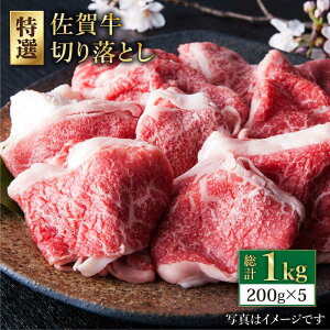yӂ邳Ɣ[Łzꋍ  ؂藎Ƃ 1kg ( 200g 5pbN ) y̎Ohz [HAA079] / Hi EHi  ZbgElߍ킹 Ԑg  Ef o ؂藎Ƃ Ⓚ  25000 25000~