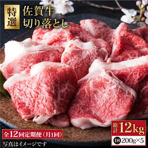 yӂ邳Ɣ[ŁzyS12ցzꋍ  ؂藎Ƃ 1kg ( 200g 5pbN ) y̎Ohz [HAA082]/ јa       Ef o Ԑg Ⓚ  300000 300000~