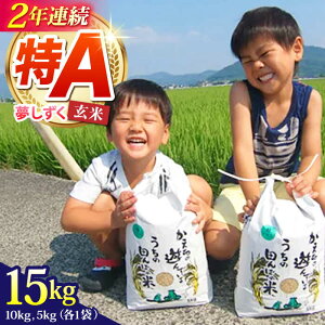 �y�ӂ邳�Ɣ[�Łz�y�I�ׂ锭�����z�ߘa7�N�Y �V�� �������� ���� 15kg�y�ЂȂ��ނ�̂��āz [HAC006] / �H�i �� ���� �Q���}�C �R�� ���� ���ꌧ�Y ��A ��A�]�� ��A�� ���� ��������