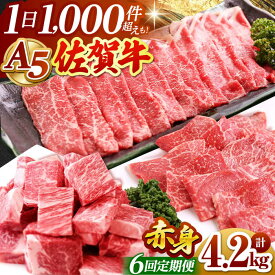 【ふるさと納税】【全6回定期便】佐賀牛 A5 赤身定期 【山下牛舎】 [HAD100] / 定期便 定期 黒毛和牛 肉 赤身 食品 精肉 肉加工品 牛肉 冷凍 送料無料 204000 204000円