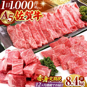 yӂ邳Ɣ[ŁzyS12ցzꋍ A5 Ԑg yRɁz [HAD101] / Hi   Zbg lߍ킹  Ԑg   