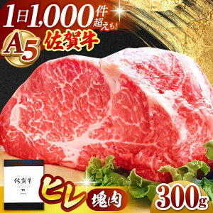 yӂ邳Ɣ[ŁzyzIׂzꋍ A5 q  300g q tB w ubN | ꌧ ]k |yRɁz [HAD106]