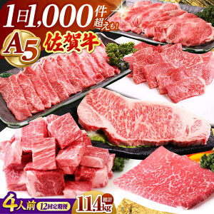 yӂ邳Ɣ[ŁzyS12z 4lO ꋍ Hׂ yRɁz [HAD111] / Hi     Zbg lߍ킹    Xe[L XCX ē [X Ԑg Jr a5 A5