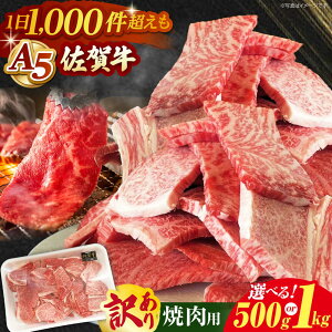 yӂ邳Ɣ[Łzyō A5Nz󂠂 ꋍ ēZbg ( 500g / 1kg )yRɁz[HAD148] / ēp ē A Hi    јa ē Zbg lߍ킹 a5 A5  ̂