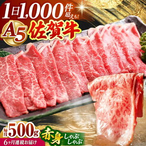 yӂ邳Ɣ[ŁzyS6ցzꋍ A5 Ԑg XCX 500g ( Ԃԗp ) yRɁz [HAD091] / Hi   ̑    Ԑg Ԑg Ԃ  Ⓚ Y 