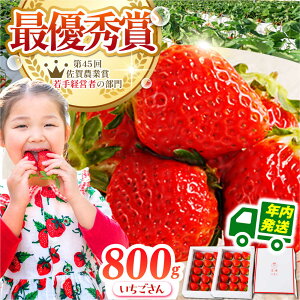 yӂ邳Ɣ[Łzy12zl̂  800g ( 400g 2 )  C`S  | ꌧ ]k |yނ炨_z [HAF001]