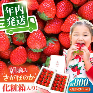 yӂ邳Ɣ[Łzy11{`12zl̂ ق̂ 800g ( 400g 2 )   C`S | ꌧ ]k | yނ炨_z [HAF002]