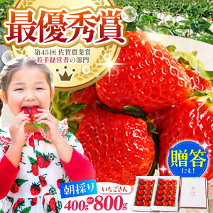 yӂ邳Ɣ[Łzys\zy1`2zl̂  ( 800g E 400g )  C`S  | ꌧ ]k |yނ炨_z [HAF009]